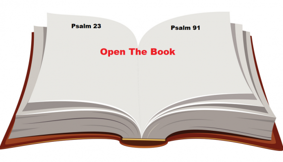 open-book-vector-198005