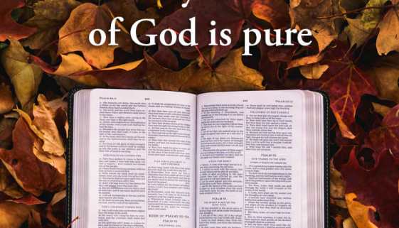 10-05-17-unshakable-every-word-is-pure-jpg-2